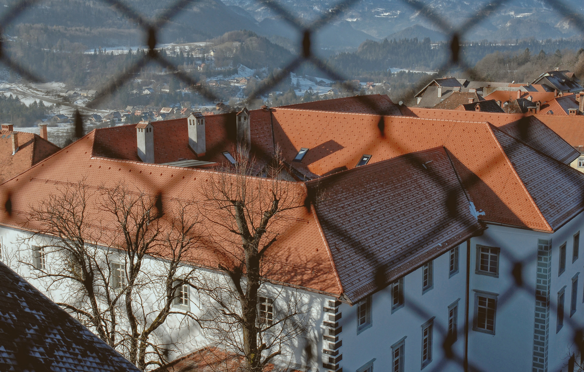 slider-image